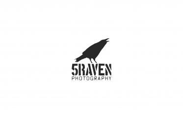 raven logo